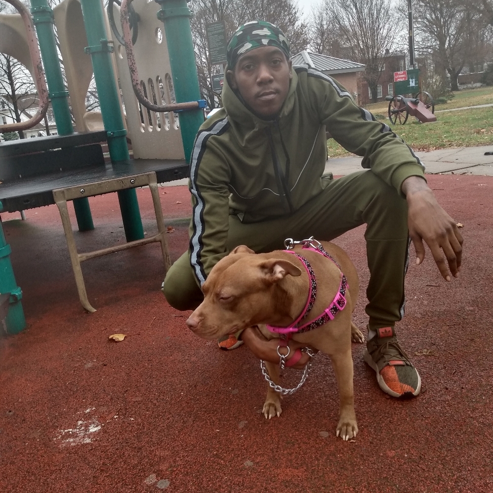 Olive Green Tracksuit - Picture 5 of 8